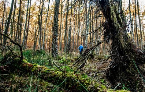 puszcza bolimowska ciekawe miejsca|The Top 20 Attractions around Bolimowski Park Krajobrazowy